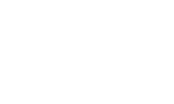 Diversified Sound Logo