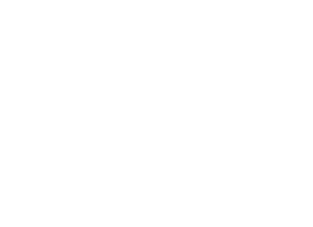 Diversified Sound Full Logo